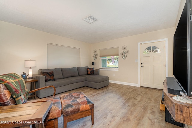 living room featuring light wood-type flooring