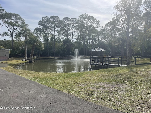 dock area featuring a water view