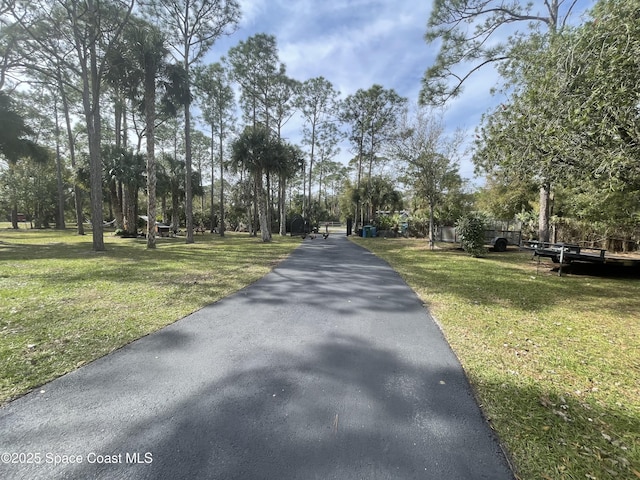 view of street with aphalt driveway