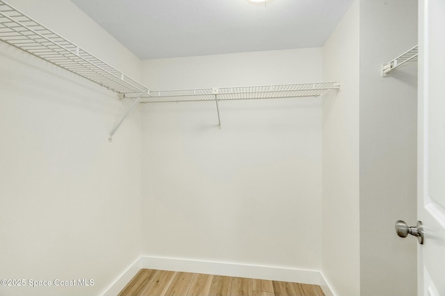 spacious closet featuring wood-type flooring