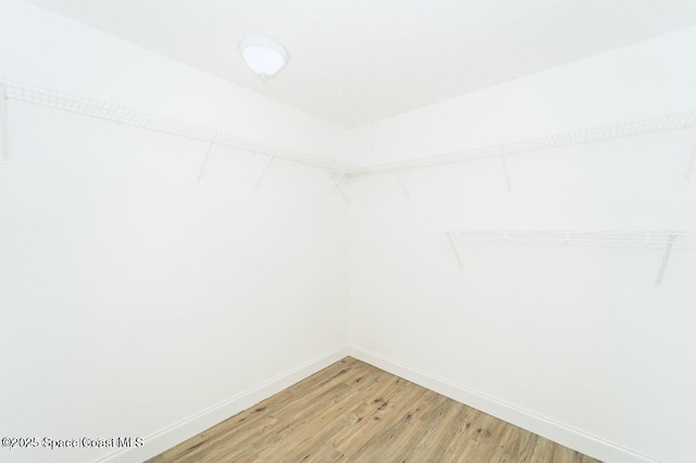 spacious closet featuring hardwood / wood-style flooring