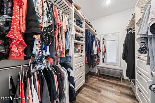 spacious closet featuring hardwood / wood-style floors