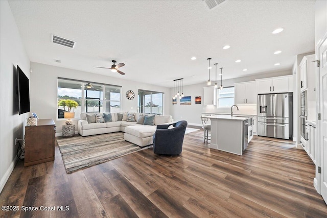 living room with sink, dark wood-type flooring, and a textured ceiling