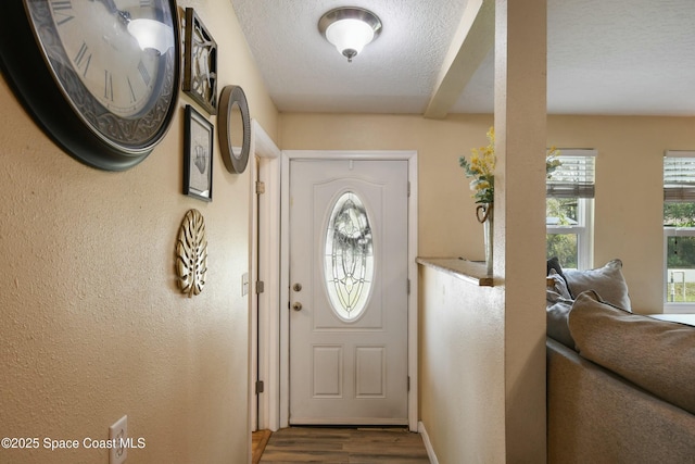 entryway featuring wood-type flooring and a textured ceiling