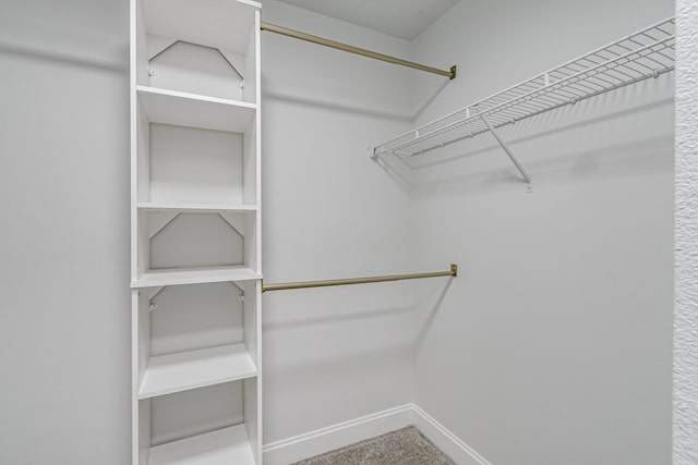 walk in closet featuring carpet floors