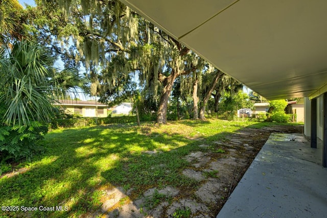 view of yard featuring a patio area