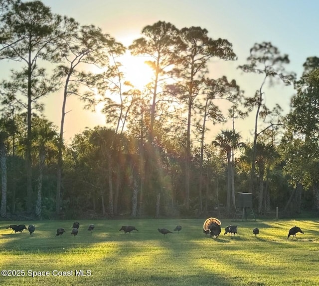 13525 111th St, Fellsmere FL, 32948 land for sale