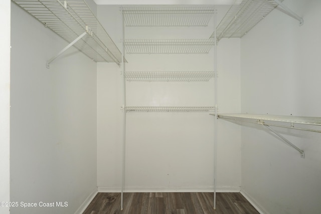 spacious closet with dark wood-type flooring