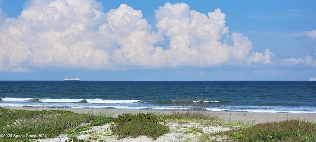 property view of water featuring a beach view