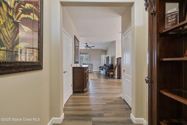 hall featuring wood-type flooring