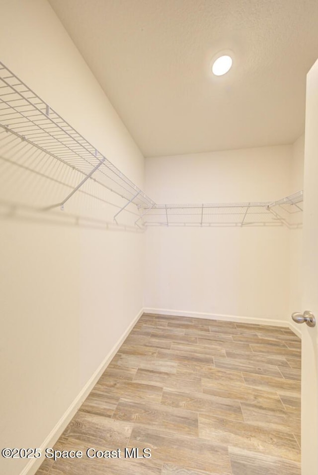 walk in closet with wood-type flooring