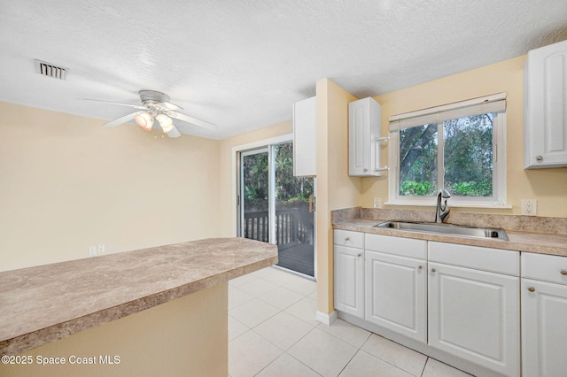 kitchen with a wealth of natural light, sink, and white cabinets