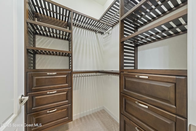 spacious closet featuring light colored carpet