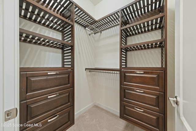 spacious closet with light colored carpet