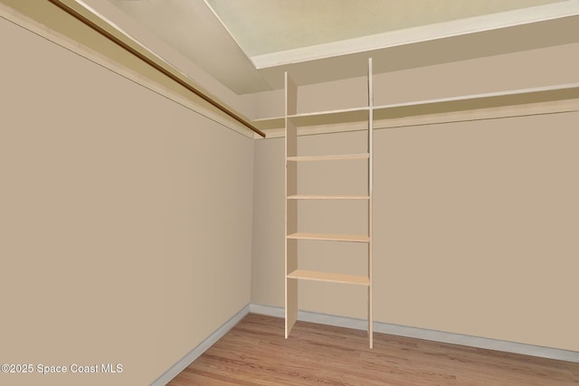 spacious closet with hardwood / wood-style floors