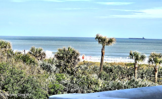 view of water feature featuring a view of the beach