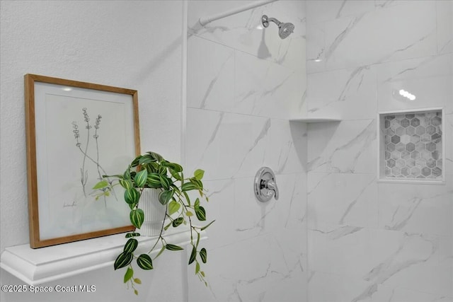 room details featuring tiled shower