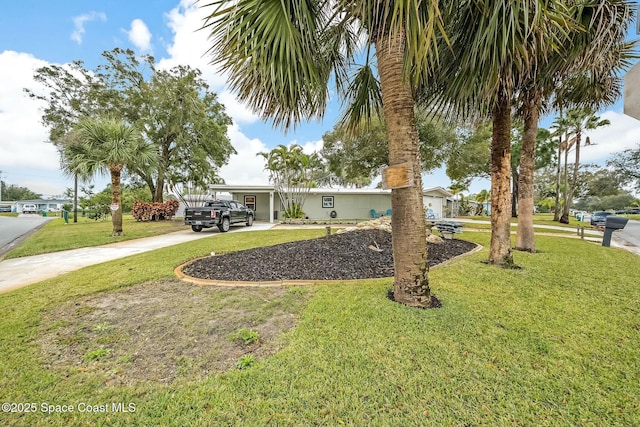 view of front of home with a front yard and a carport