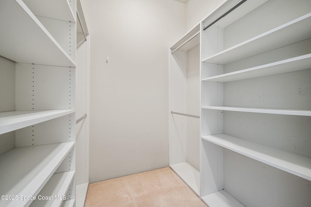 walk in closet featuring light colored carpet