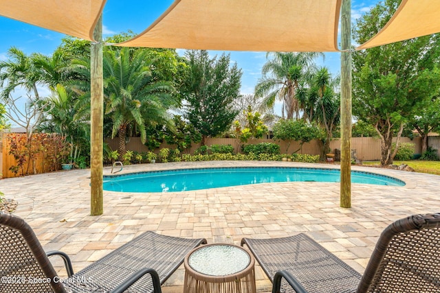 view of swimming pool featuring a patio area