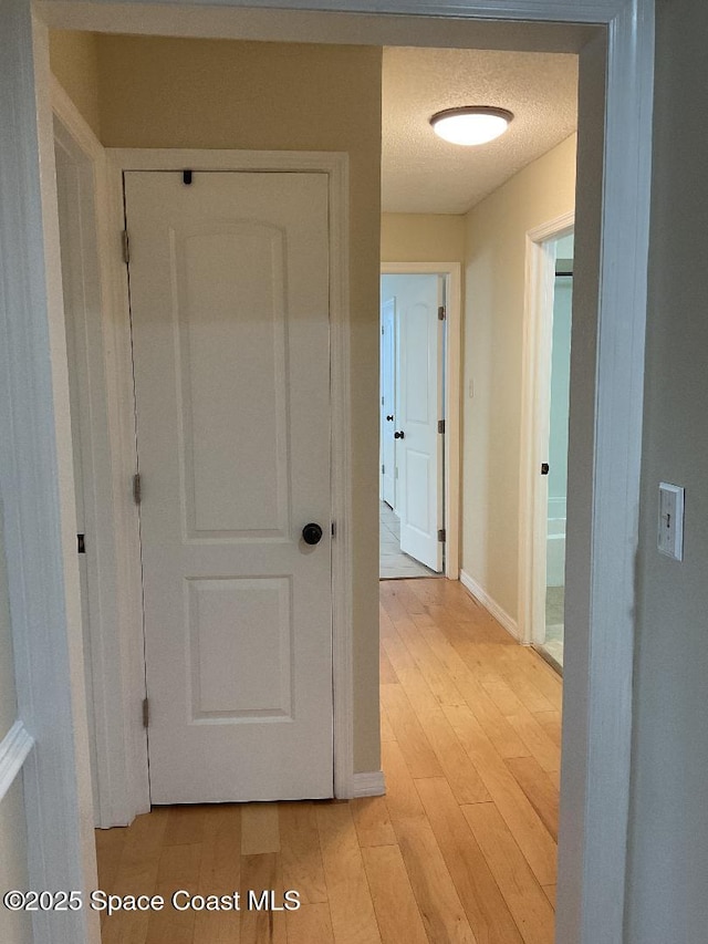 corridor featuring a textured ceiling and light hardwood / wood-style flooring