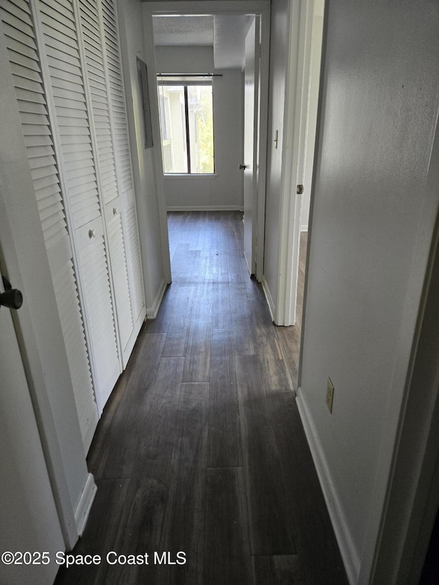 hallway with dark hardwood / wood-style flooring