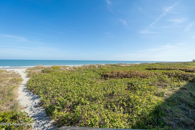 water view with a view of the beach