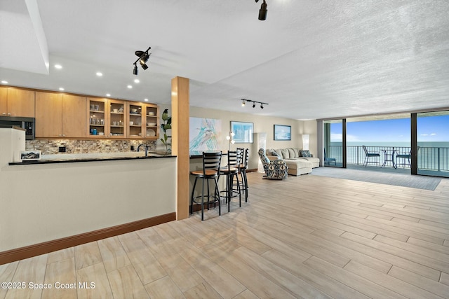 kitchen with backsplash, track lighting, light hardwood / wood-style floors, and floor to ceiling windows