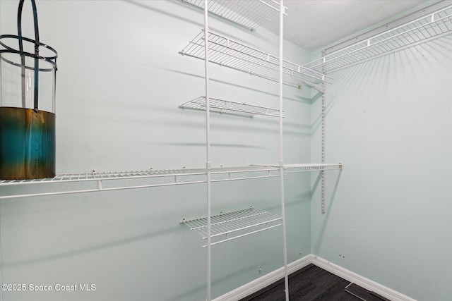 walk in closet featuring wood finished floors