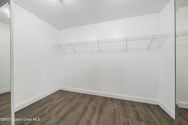 walk in closet featuring dark hardwood / wood-style flooring