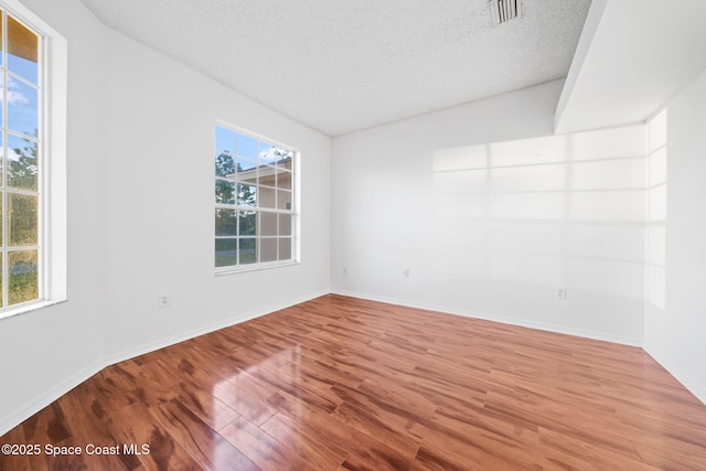 spare room featuring hardwood / wood-style floors, a textured ceiling, and a wealth of natural light