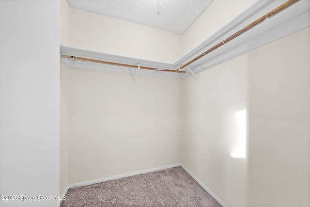 walk in closet featuring light colored carpet