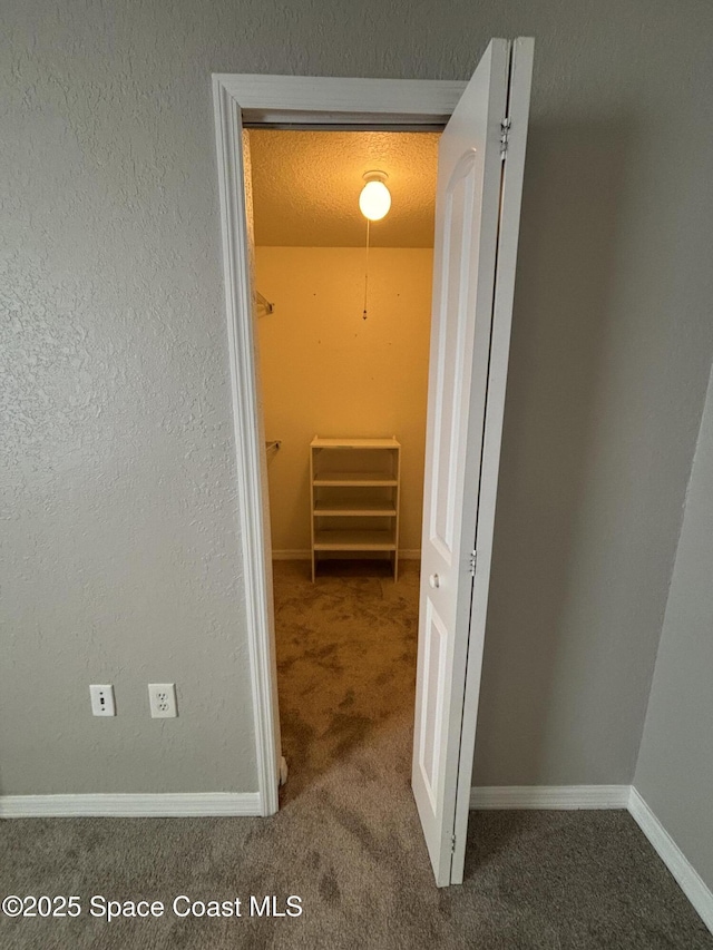 hallway with a textured ceiling and carpet flooring