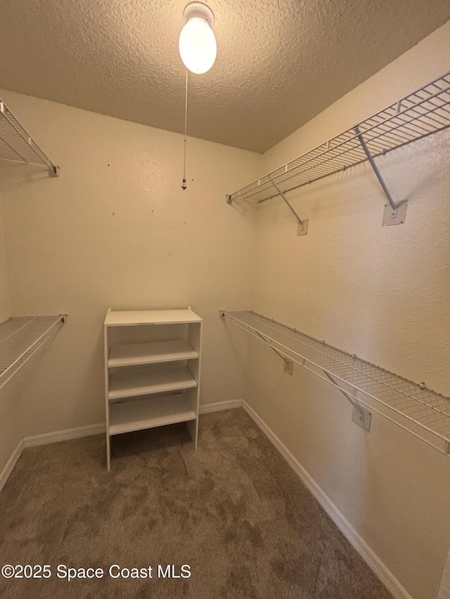 spacious closet with dark colored carpet