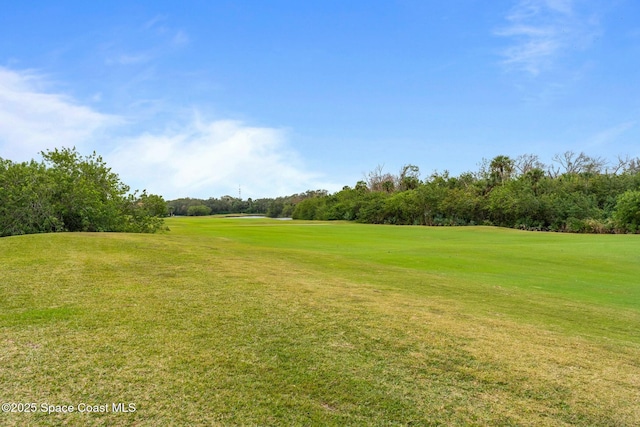 1459 Southpointe Ct, Melbourne, FL 32940 - view of yard
