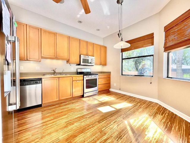 kitchen featuring appliances with stainless steel finishes, pendant lighting, sink, ceiling fan, and light wood-type flooring