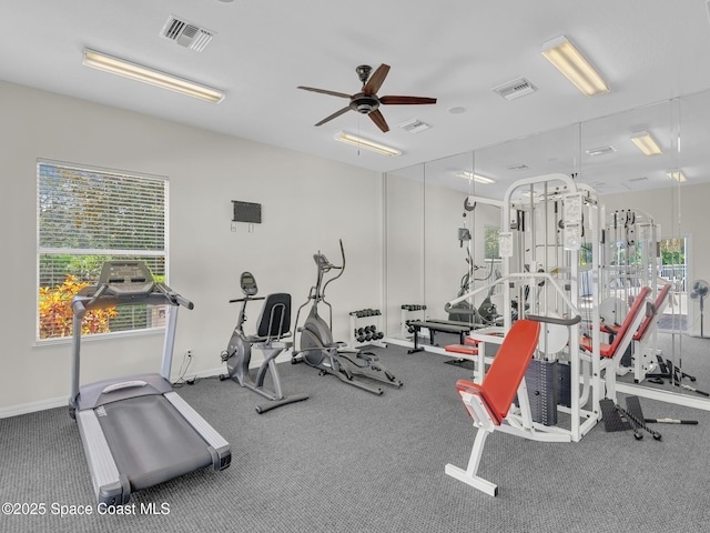 exercise room featuring ceiling fan and carpet floors