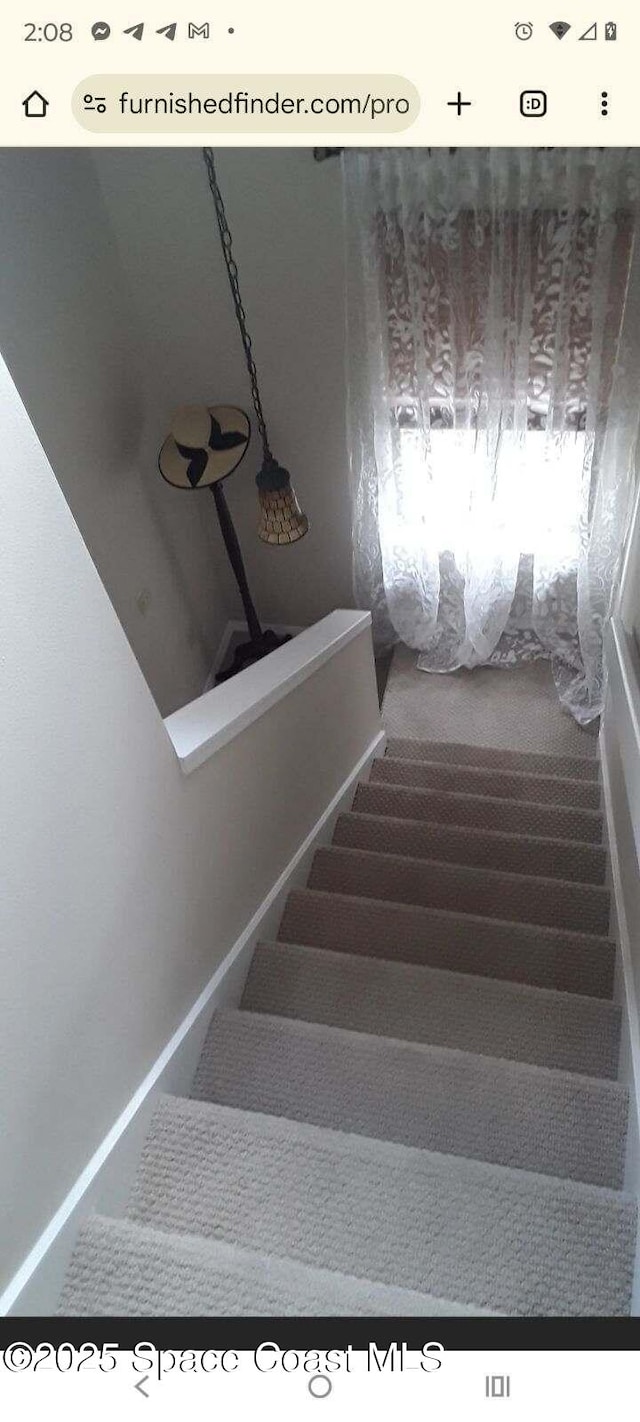 stairs with carpet flooring