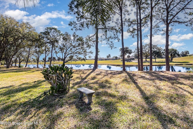 view of yard with a water view