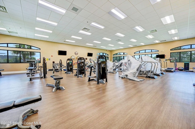 exercise room featuring a drop ceiling and light wood-type flooring