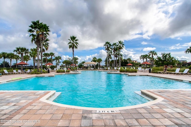 view of pool featuring a patio area