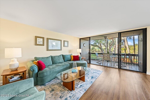 living room featuring expansive windows and hardwood / wood-style flooring