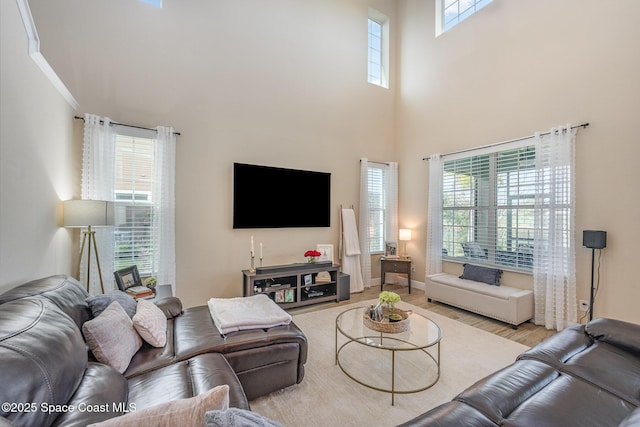 living room with a wealth of natural light, a high ceiling, and light wood-type flooring