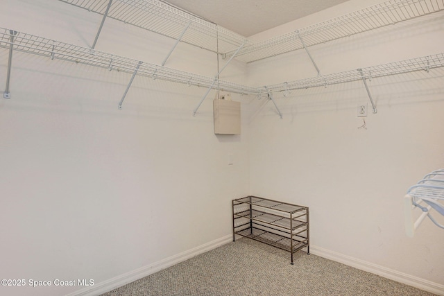 walk in closet featuring carpet flooring