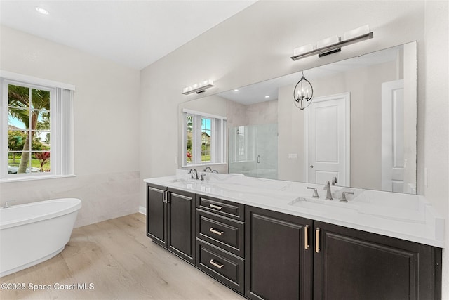 bathroom featuring a healthy amount of sunlight, plus walk in shower, hardwood / wood-style floors, and vanity