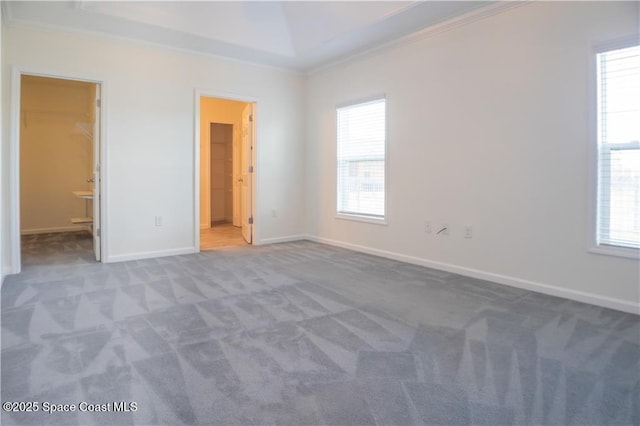 unfurnished bedroom featuring a spacious closet, ornamental molding, carpet, and ensuite bathroom