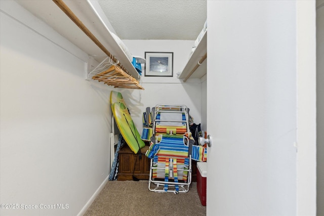 walk in closet featuring carpet floors