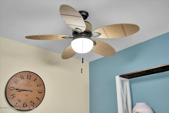 room details with ceiling fan