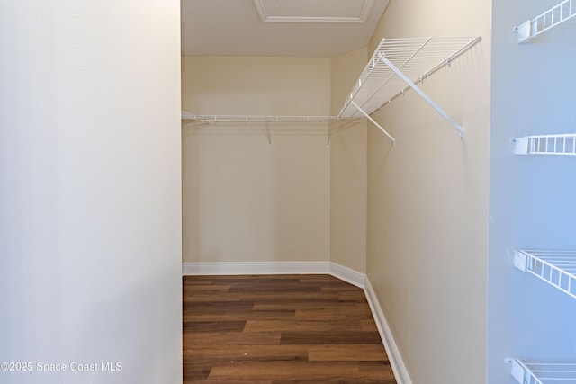 walk in closet with dark hardwood / wood-style floors