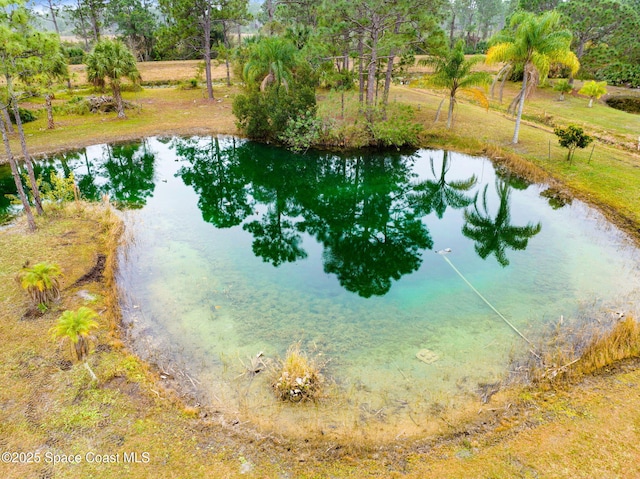 view of water feature